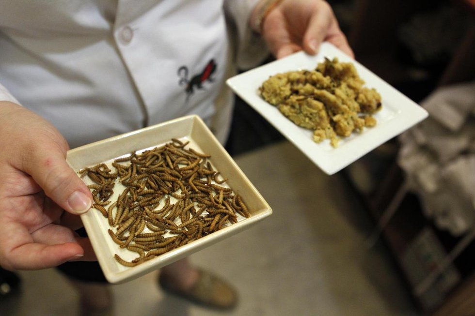 新奥尔良一博物馆推出昆虫大餐组图