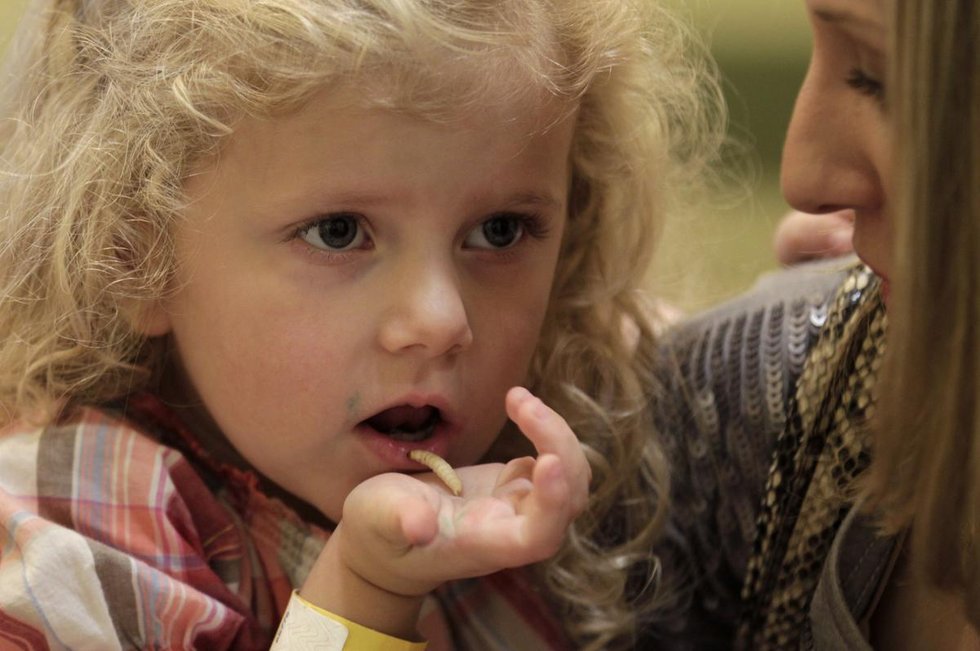 新奥尔良一博物馆推出昆虫大餐组图