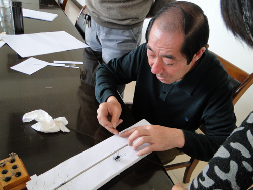 昆虫专家考察太统-崆峒山国家级自然保护区