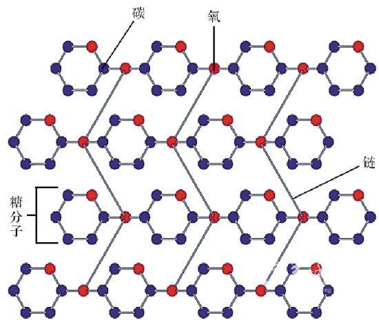 广东科学家欲将白蚁变成新能源