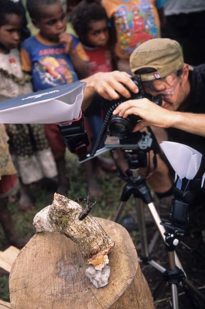 微距镜头下的奇妙昆虫图组
