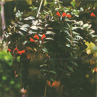 �ں컨�����������