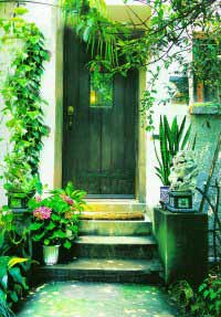 �����������Ľ��仨����Ҷ