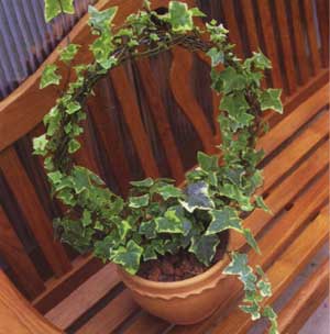 ��������������