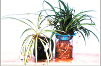 ������ˮ���������������