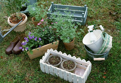 最简单实用的家庭室内园艺工具