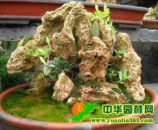 ɽˮ�辰ɳ��ʯ ������