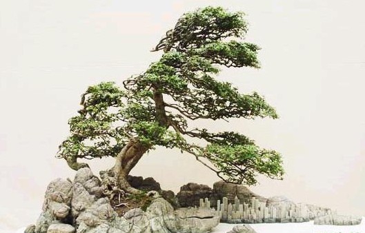 �辰����--Ϫˮ�����辰