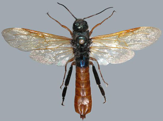 ̩�Ӵ�����ķ������ɼ����η���